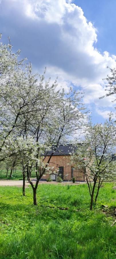 Gorskie Progi Goworow Dış mekan fotoğraf