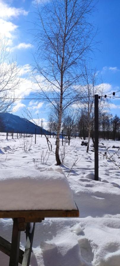 Gorskie Progi Goworow Dış mekan fotoğraf